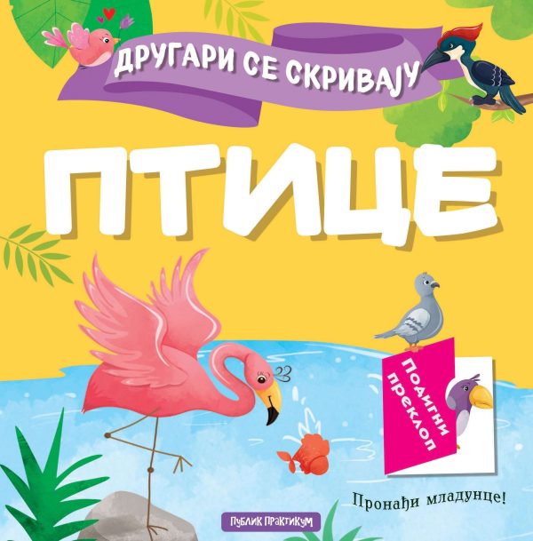 Drugari se skrivaju - Ptice