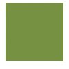 Duni salvete Leaf Green
