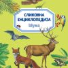 Slikovna enciklopedija: Šuma